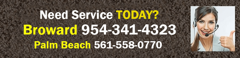 service in broward and palm beach